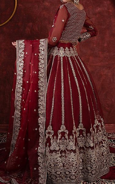 House Of Nawab Rosewood Organza Suit | Pakistani Embroidered Chiffon Dresses USA- Image 2
