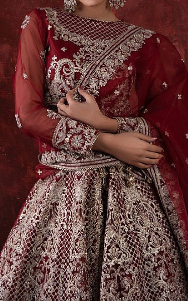 House Of Nawab Rosewood Organza Suit | Pakistani Embroidered Chiffon Dresses USA- Image 3