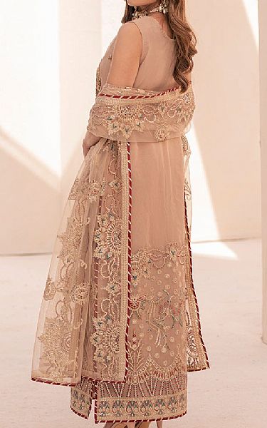 House Of Nawab Pale Taupe Organza Suit | Pakistani Embroidered Chiffon Dresses USA- Image 2