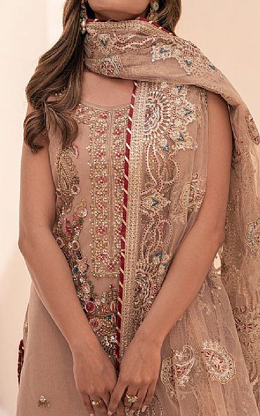 House Of Nawab Pale Taupe Organza Suit | Pakistani Embroidered Chiffon Dresses USA- Image 3