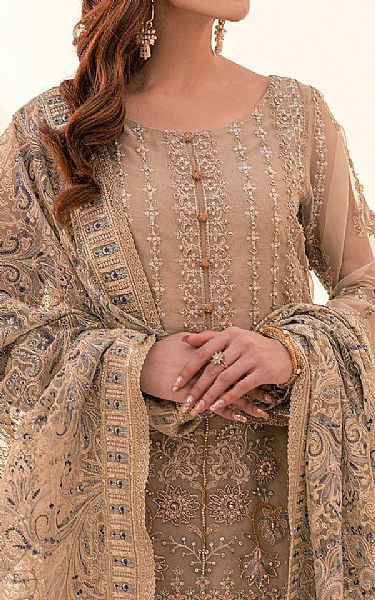 House Of Nawab Tan Organza Suit | Pakistani Embroidered Chiffon Dresses USA- Image 3