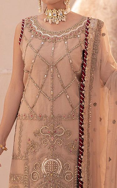 House Of Nawab Pale Taupe Organza Suit | Pakistani Embroidered Chiffon Dresses USA- Image 3