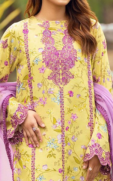 Humdum Golden Sand Karandi Suit | Pakistani Winter Dresses in USA- Image 2