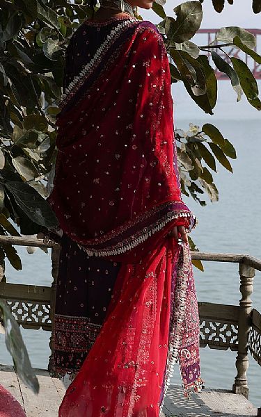 Hussain Rehar Purple Lawn Suit | Pakistani Lawn Dress in USA- Image 2