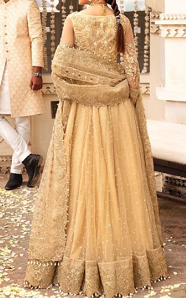 Imrozia Sand Gold/Tan Net Suit | Pakistani Embroidered Chiffon Dresses- Image 2