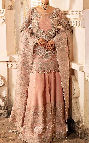 Imrozia Pinkish Tan Net Suit | Pakistani Embroidered Chiffon Dresses- Image 1