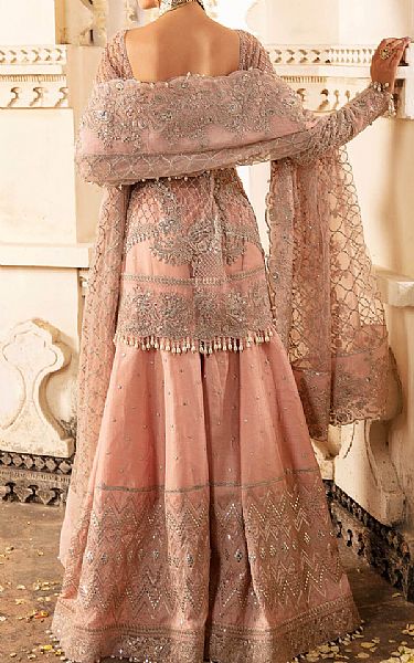 Imrozia Pinkish Tan Net Suit | Pakistani Embroidered Chiffon Dresses- Image 2