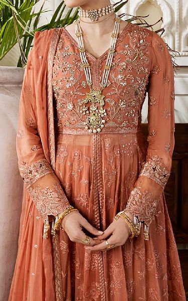 Imrozia Dark Peach Chiffon Suit | Pakistani Embroidered Chiffon Dresses USA- Image 3