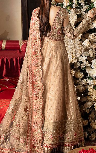 Imrozia Fawn/Coral Net Suit | Pakistani Embroidered Chiffon Dresses USA- Image 2