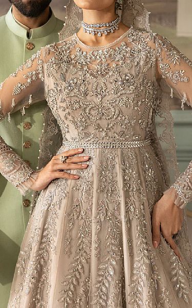 Imrozia Light Grey Net Suit | Pakistani Embroidered Chiffon Dresses USA- Image 3