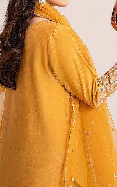 Izel Orange Raw Silk Suit | Pakistani Embroidered Chiffon Dresses USA- Image 2