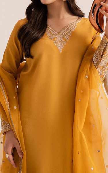 Izel Orange Raw Silk Suit | Pakistani Embroidered Chiffon Dresses USA- Image 3
