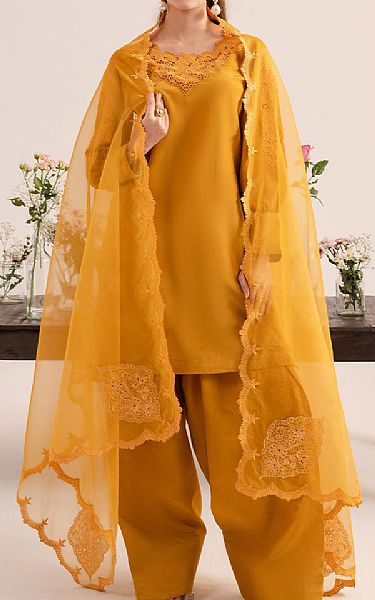 Izel Orange Raw Silk Suit | Pakistani Embroidered Chiffon Dresses USA- Image 1