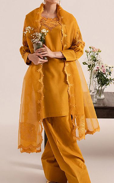 Izel Orange Raw Silk Suit | Pakistani Embroidered Chiffon Dresses USA- Image 3
