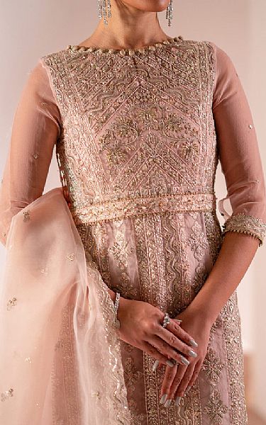 Izel Pink Organza Suit | Pakistani Embroidered Chiffon Dresses USA- Image 3