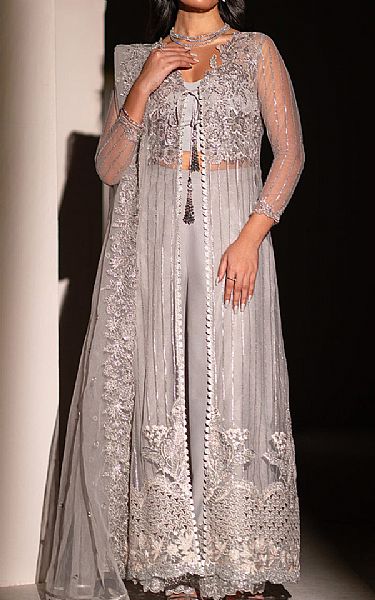 Izel Grey Net Suit | Pakistani Embroidered Chiffon Dresses USA- Image 1