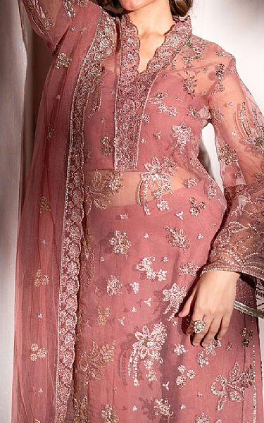 Izel Pink Organza Suit | Pakistani Embroidered Chiffon Dresses USA- Image 3