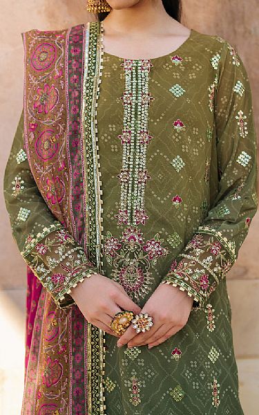 Iznik Camo Green Chiffon Suit | Pakistani Embroidered Chiffon Dresses USA- Image 3