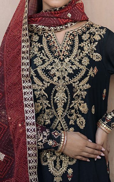 Iznik Black Georgette Suit | Pakistani Embroidered Chiffon Dresses USA- Image 3