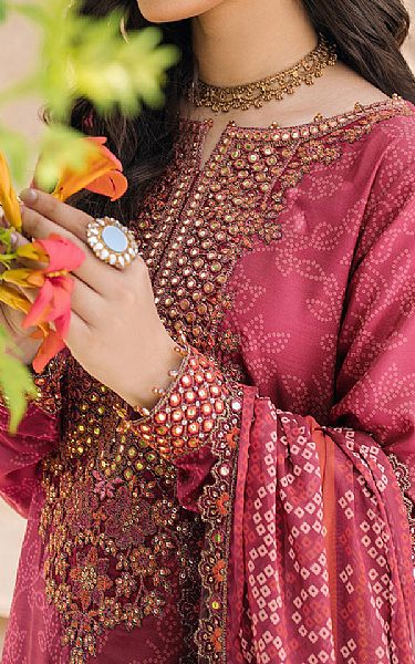 Iznik Dark Pink Raw Silk Suit | Pakistani Embroidered Chiffon Dresses USA- Image 3