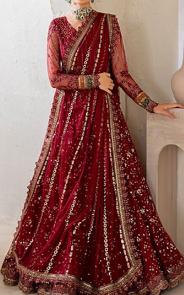 Iznik Maroon Net Suit | Pakistani Embroidered Chiffon Dresses USA- Image 1