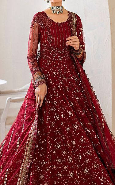 Iznik Maroon Net Suit | Pakistani Embroidered Chiffon Dresses USA- Image 3