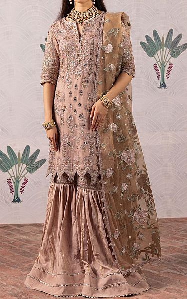 Iznik Brandy Rose Chiffon Suit | Pakistani Embroidered Chiffon Dresses- Image 1