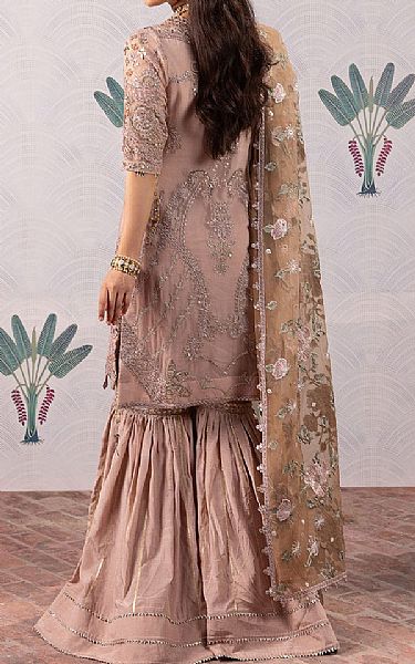 Iznik Brandy Rose Chiffon Suit | Pakistani Embroidered Chiffon Dresses- Image 2