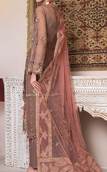 Janique Medium Taupe Organza Suit | Pakistani Embroidered Chiffon Dresses- Image 2