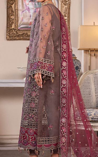 Janique Rose Taupe Organza Suit | Pakistani Embroidered Chiffon Dresses USA- Image 2