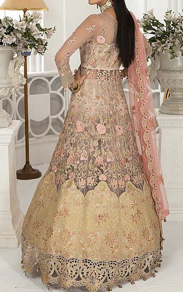 Janique Light Golden/Pink Net Suit | Pakistani Embroidered Chiffon Dresses- Image 2