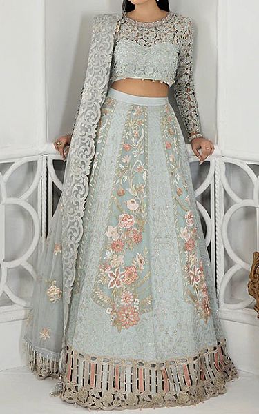 Janique Light Grey Organza Suit | Pakistani Embroidered Chiffon Dresses- Image 1