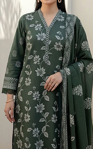 Lsm Green Pashmina Suit | Pakistani Winter Dresses in USA- Image 2