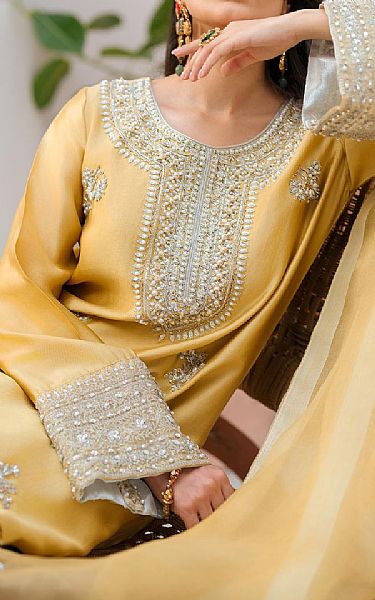 Mahum Asad Bombshell | Pakistani Pret Wear Clothing by Mahum Asad- Image 2
