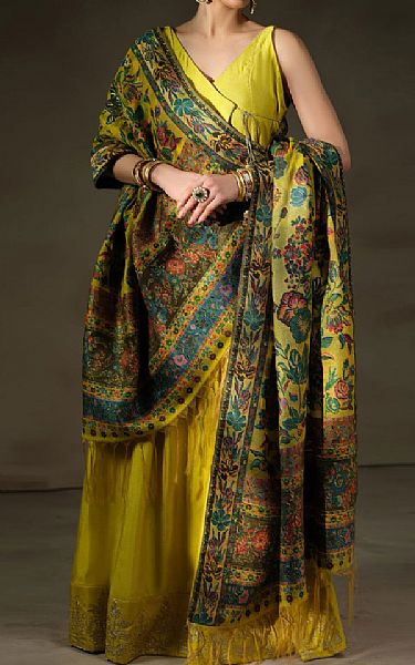 Mahum Asad Gul Bahar (Shawl) | Pakistani Pret Wear Clothing by Mahum Asad- Image 2