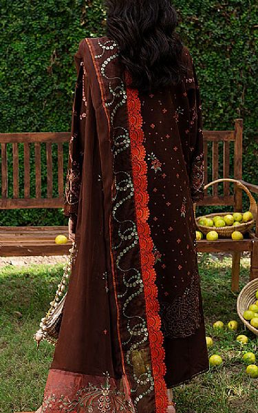 Marjjan Brown Karandi Suit | Pakistani Winter Dresses in USA- Image 2