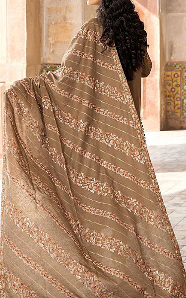 Marjjan Taupe Brown Karandi Suit | Pakistani Dresses in USA- Image 2