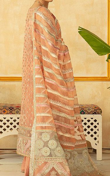 Maryam Hussain Peach Net Suit | Pakistani Embroidered Chiffon Dresses- Image 2