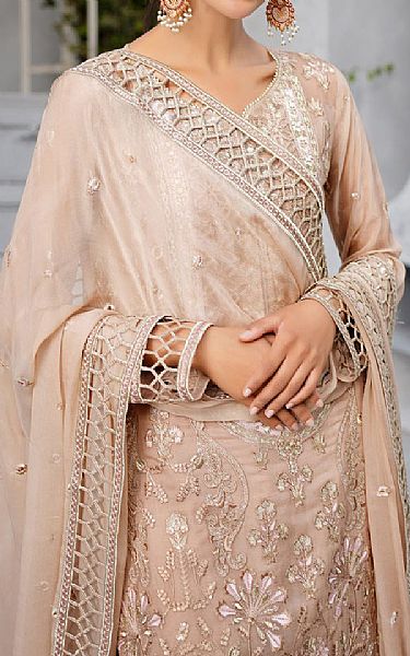 Maryams Cavern Pink Chiffon Suit | Pakistani Embroidered Chiffon Dresses USA- Image 3