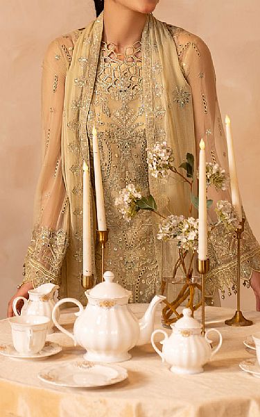 Maryams Sand Gold Chiffon Suit | Pakistani Embroidered Chiffon Dresses USA- Image 3
