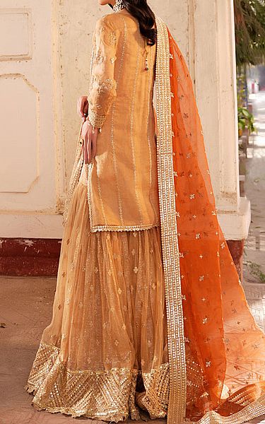 Maryams Fawn Organza Suit | Pakistani Embroidered Chiffon Dresses USA- Image 2