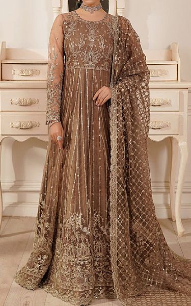 Maryams Pastel Brown Net Suit | Pakistani Embroidered Chiffon Dresses USA- Image 1