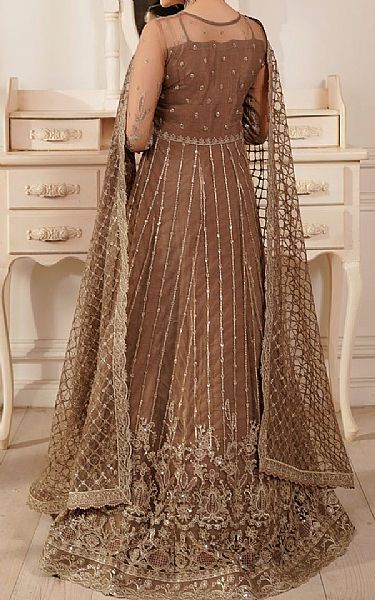 Maryams Pastel Brown Net Suit | Pakistani Embroidered Chiffon Dresses USA- Image 2