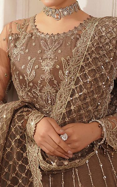 Maryams Pastel Brown Net Suit | Pakistani Embroidered Chiffon Dresses USA- Image 3