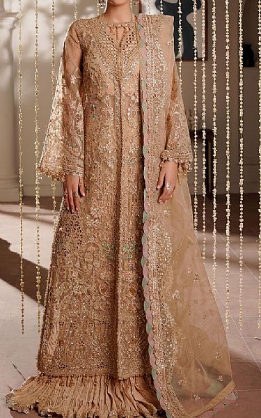 Maryams Fawn Organza Suit | Pakistani Embroidered Chiffon Dresses USA- Image 1
