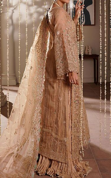 Maryams Fawn Organza Suit | Pakistani Embroidered Chiffon Dresses USA- Image 2