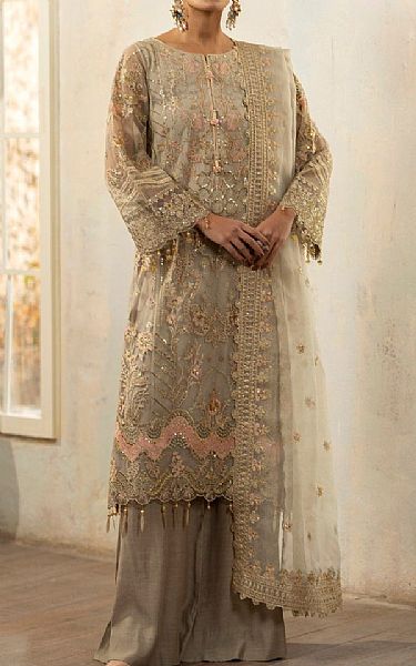 Mohagni Pale Oyster Net Suit | Pakistani Embroidered Chiffon Dresses- Image 1