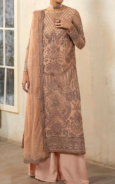 Mohagni Tumbleweed Net Suit | Pakistani Embroidered Chiffon Dresses USA- Image 1