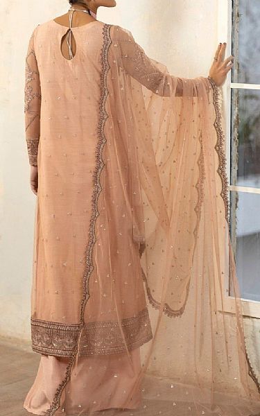 Mohagni Tumbleweed Net Suit | Pakistani Embroidered Chiffon Dresses USA- Image 2