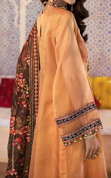 Mohagni Fawn Mesuri Suit | Pakistani Dresses in USA- Image 2